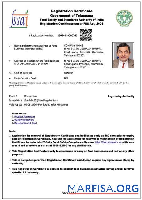 Realistic India Telangana company registration certificate Word and PDF template